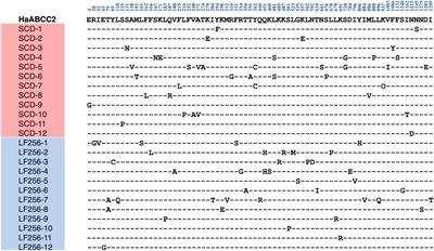 Evaluating Cross-Resistance to Cry and Vip Toxins in Four Strains of Helicoverpa armigera With Different Genetic Mechanisms of Resistance to Bt Toxin Cry1Ac